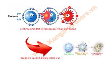 Chỉ số ORP là gì? Máy lọc nước Kangaroo KG109 tạo nước có chỉ số ORP bao nhiêu?